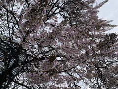 -红星桥(地铁站)
