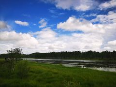 -塞罕坝国家级自然保护区