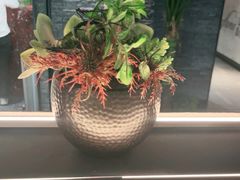 -FAZZFLAME法滋铁板烧自助