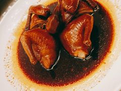 瑞士汁乳鸽-侨美·唐荔园·40年地道粤菜