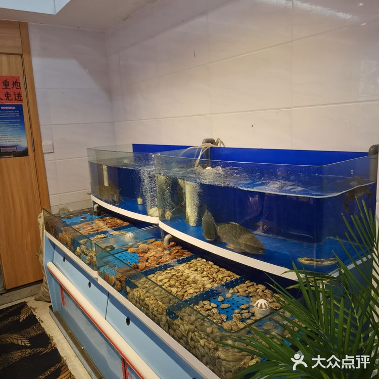 来滨州，找特色美食，先从锅子饼下手吧