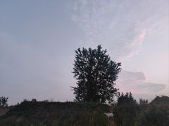 -花园口旅游区