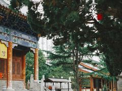 -西安大兴善寺