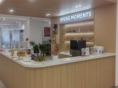 -小鹏汽车上海吴中路销售服务中心