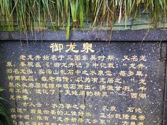 -十八棵（老龙井）御茶园(老龙井店)