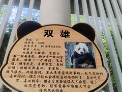 -五龙山野生动物王国