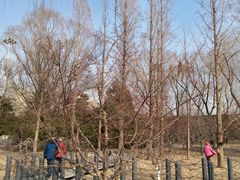 -元大都城垣遗址公园