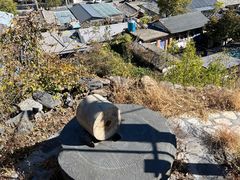 -水峪民俗村
