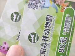 -沈阳森林动物园