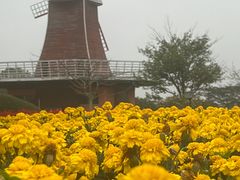-东莞植物园