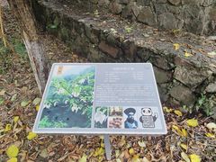 -中国大熊猫保护研究中心雅安碧峰峡基地