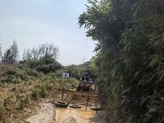 -杭州屏风山越野车营地·团建别墅轰趴民宿