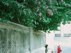 -叶氏麻糍(鼓浪屿店)