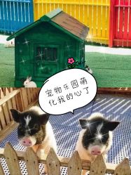 -萌宠亲子动物乐园(槐房万达店)