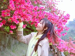 -木兰云雾山