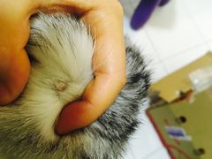 -纳吉亚猫专科动物医院博雅分院
