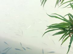 -75幢私房菜馆