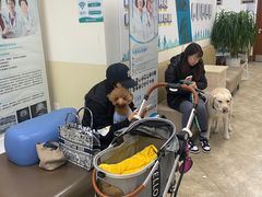 -美联众合动物医院·24h转诊中心