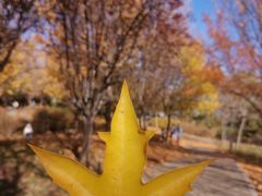 -大望京公园