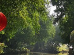 -大湾区中央湿地公园