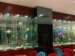 大堂-花园咖啡厅(厦门美丽华大酒店)