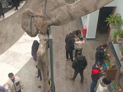 -自贡恐龙博物馆