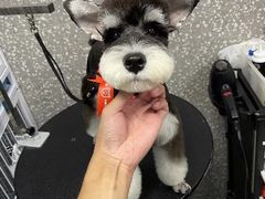 -达爱动物医院·犬猫分区·CT·复杂眼科(远洋山水分院)