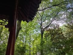 -汇龙潭
