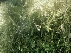 -青年公社烤鸭(蜀山万象汇店)