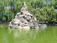 -团结湖公园