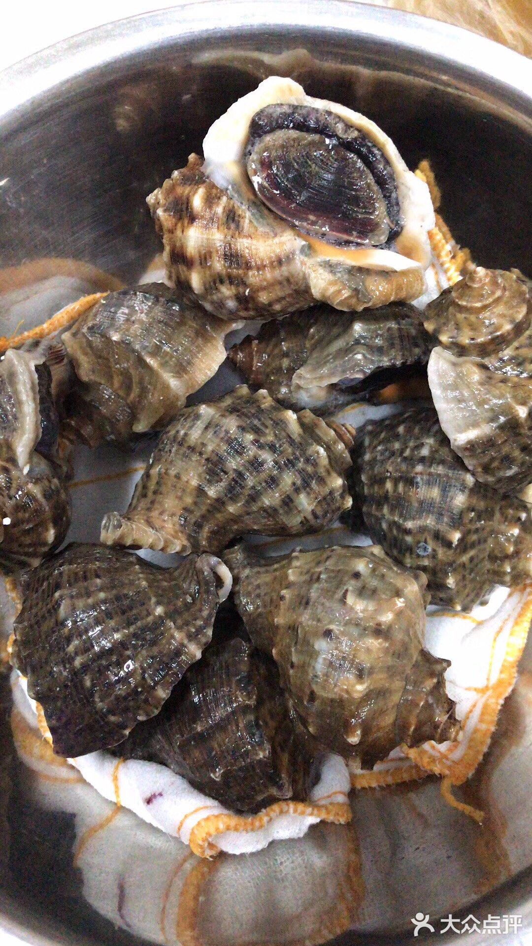 海螺怎么算是煮熟了,海螺怎么算是煮熟了呢