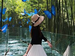 -竹泉村旅游度假区