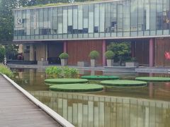 -蔓兰家的四季S0餐厅·融合菜(当代MOMA店)