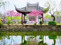 -无锡蠡湖国家湿地公园-蠡园