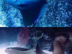 -沈阳海洋探索中心