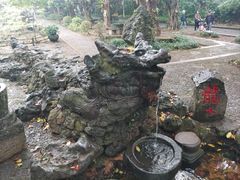 -海口火山口国家地质公园