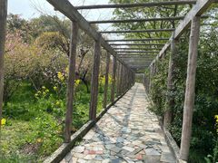 -南汇桃花村