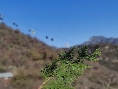 -周口店坡峰岭风景区