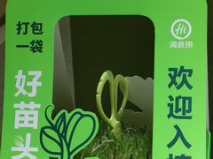 -海底捞火锅(银泰中心店)