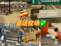 -盈香心动乐园