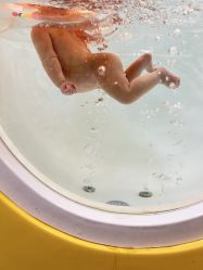 -月满阁月子中心(莲湖区店)