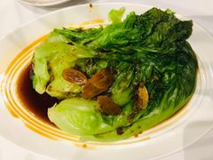 罗马生菜-眉州东坡·熊猫主题餐厅(枫蓝店)