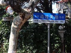 -八大关景区