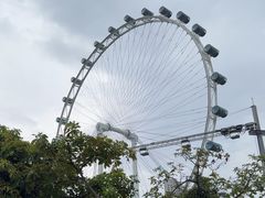 -新加坡摩天观景轮