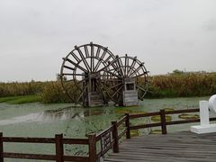 -宁波杭州湾国家湿地公园