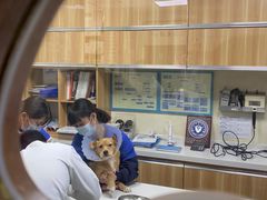 -康乐宝动物医院