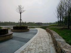 -天津东丽湖风景区