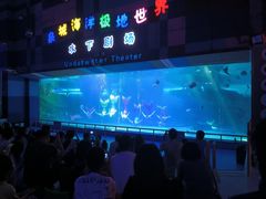 -泉城欧乐堡海洋极地世界
