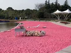 -上海鲜花港