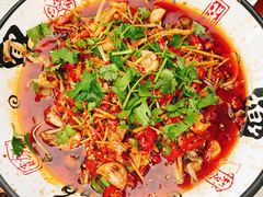 鲜椒美蛙-罗妈砂锅(四川成都奎星楼店)